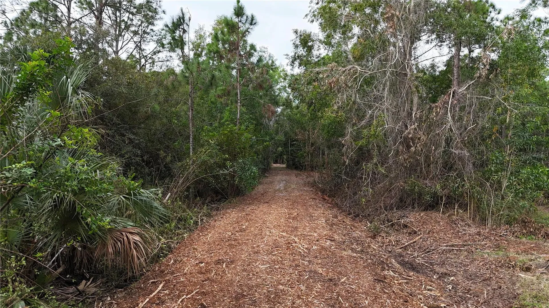 Pantera Lane Naples FL 34120