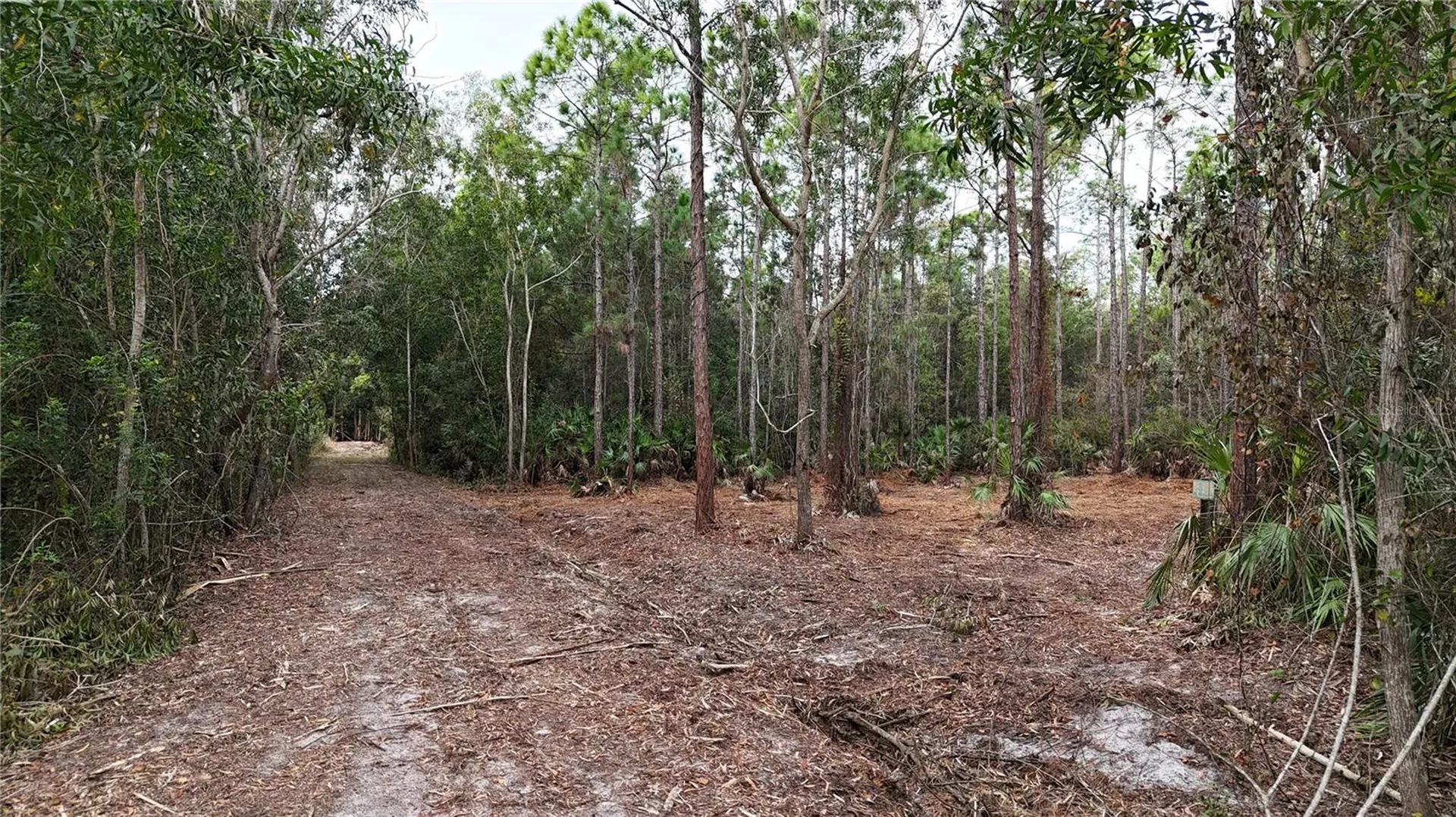 Pantera Lane Naples FL 34120