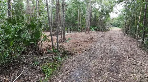 Pantera Lane Naples FL 34120