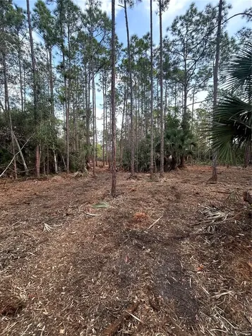 Pantera Lane Naples FL 34120