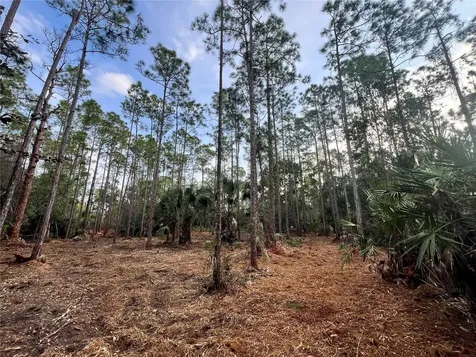 Pantera Lane Naples FL 34120