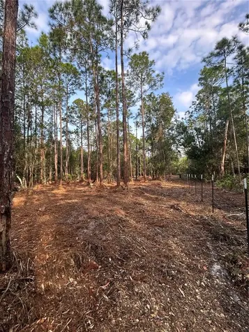 Pantera Lane Naples FL 34120