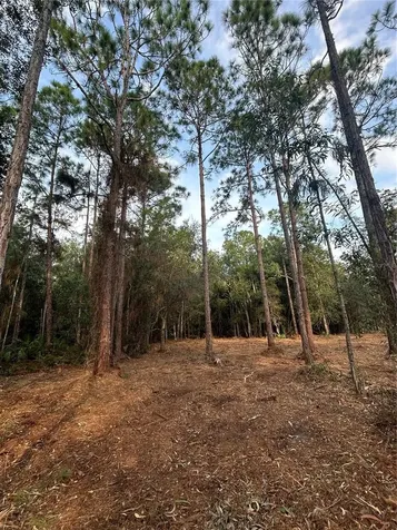 Pantera Lane Naples FL 34120
