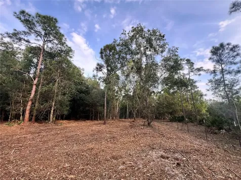 Pantera Lane Naples FL 34120