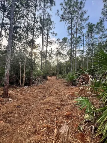 Pantera Lane Naples FL 34120