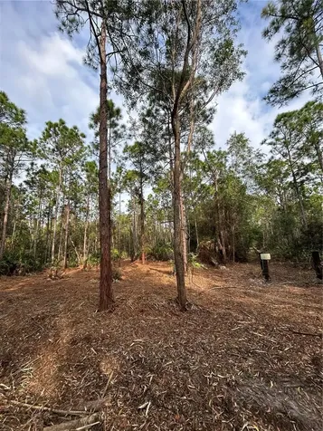 Pantera Lane Naples FL 34120