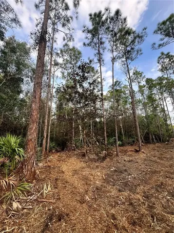 Pantera Lane Naples FL 34120