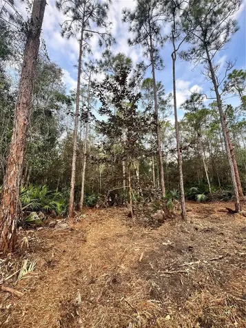 Pantera Lane Naples FL 34120