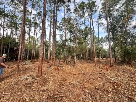 Pantera Lane Naples FL 34120