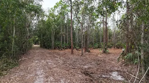 Pantera Lane Naples FL 34120