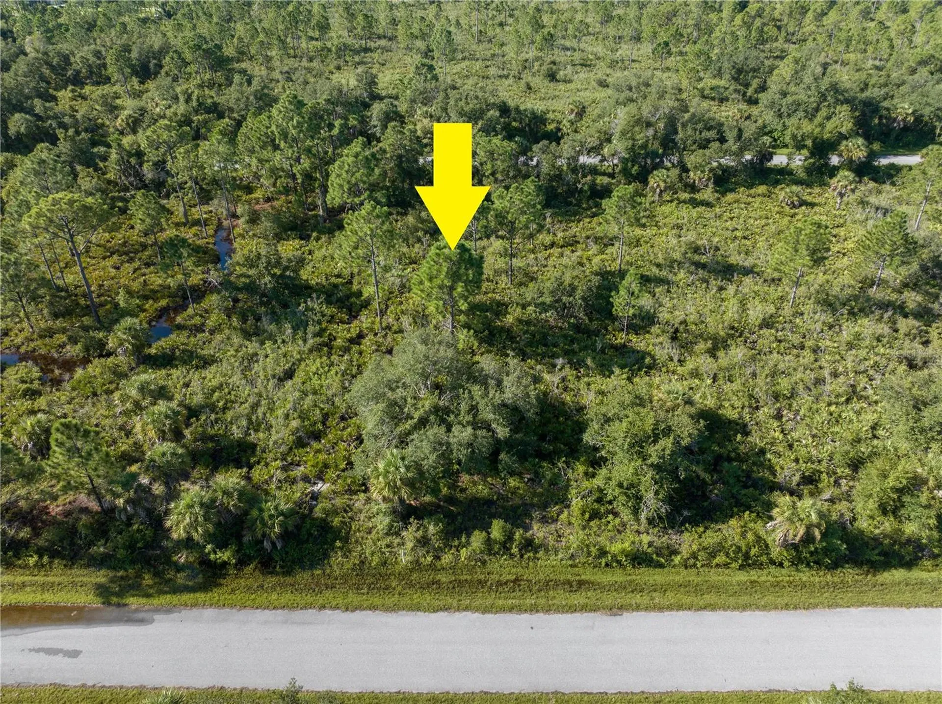 13211 Chiminiello Drive Port Charlotte FL 33953