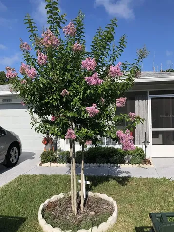 3542 Highland Fairways Boulevard Lakeland FL 33810