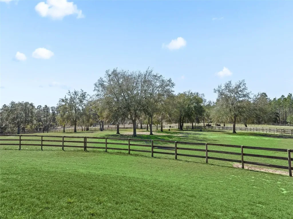 11670 SE 6 Street Williston FL 32696