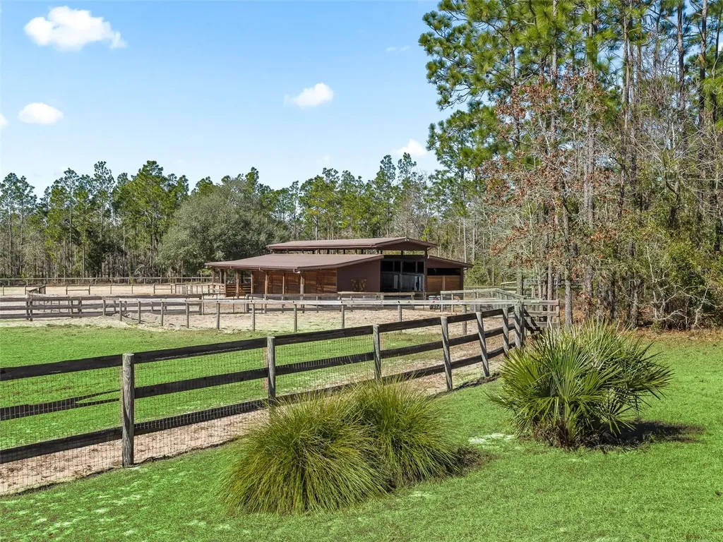 11670 SE 6 Street Williston FL 32696