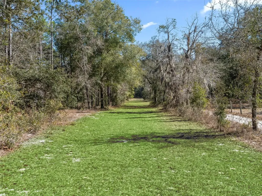11670 SE 6 Street Williston FL 32696