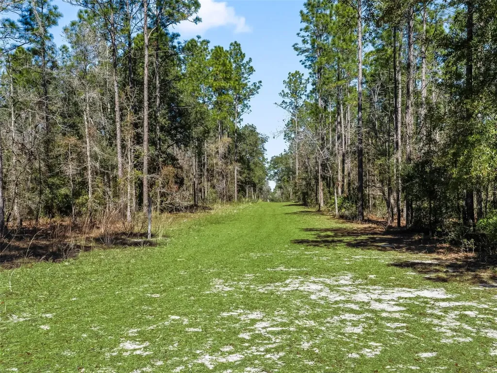 11670 SE 6 Street Williston FL 32696