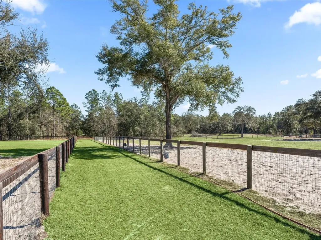 11670 SE 6 Street Williston FL 32696
