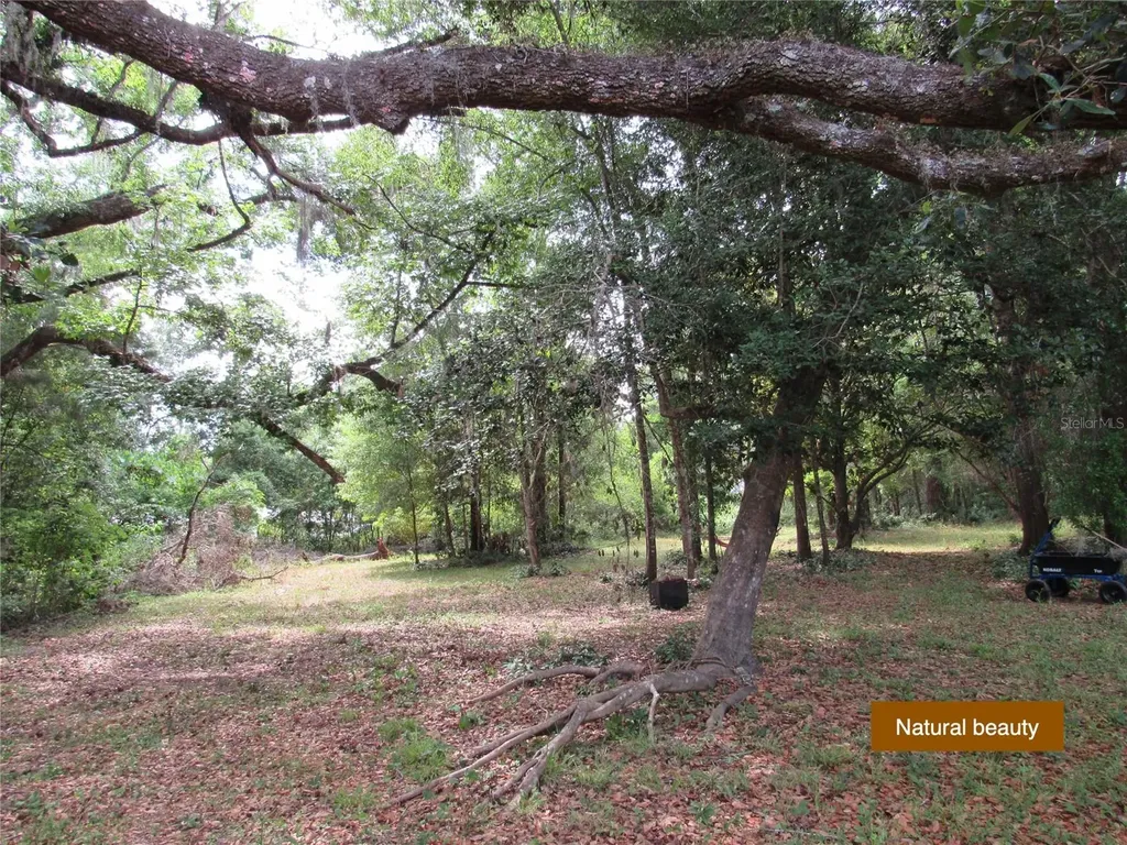 20526 N State Road 121 Alachua FL 32615