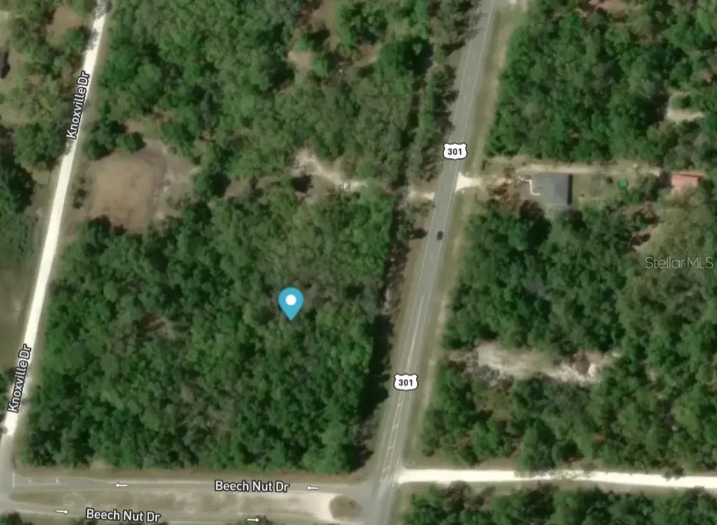 7445 Treiman Boulevard Webster FL 33597
