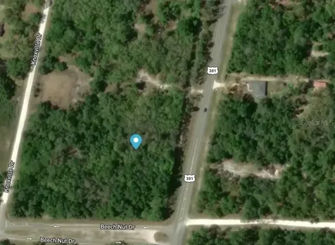 7445 Treiman Boulevard Webster FL 33597