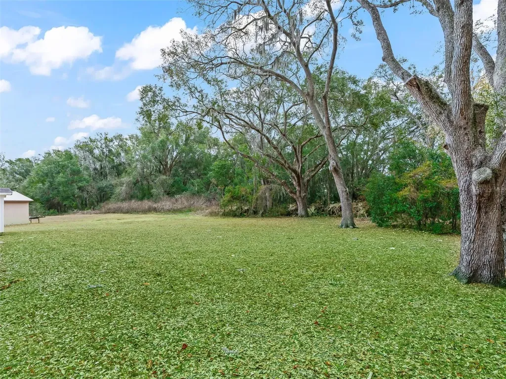 16160 SE 97th Terrace Road Summerfield FL 34491