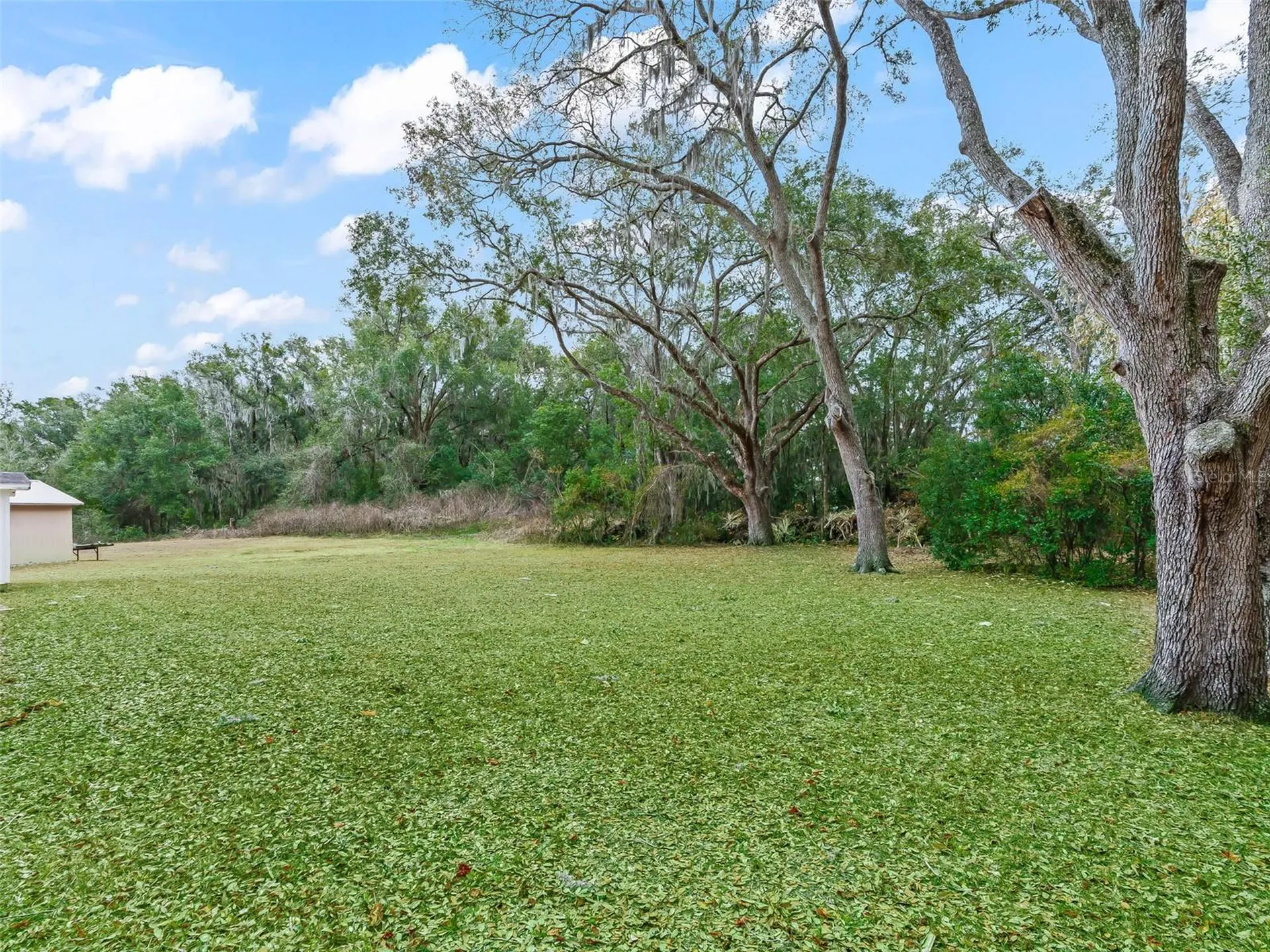 16160 SE 97th Terrace Road Summerfield FL 34491