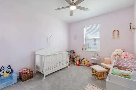 13343 Lake Yale View Loop Grand Island FL 32735