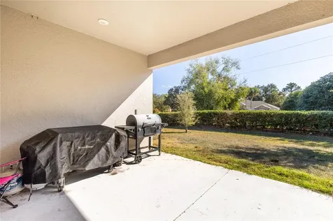13343 Lake Yale View Loop Grand Island FL 32735