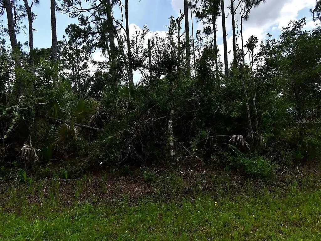 Hackley Road North Port FL 34291
