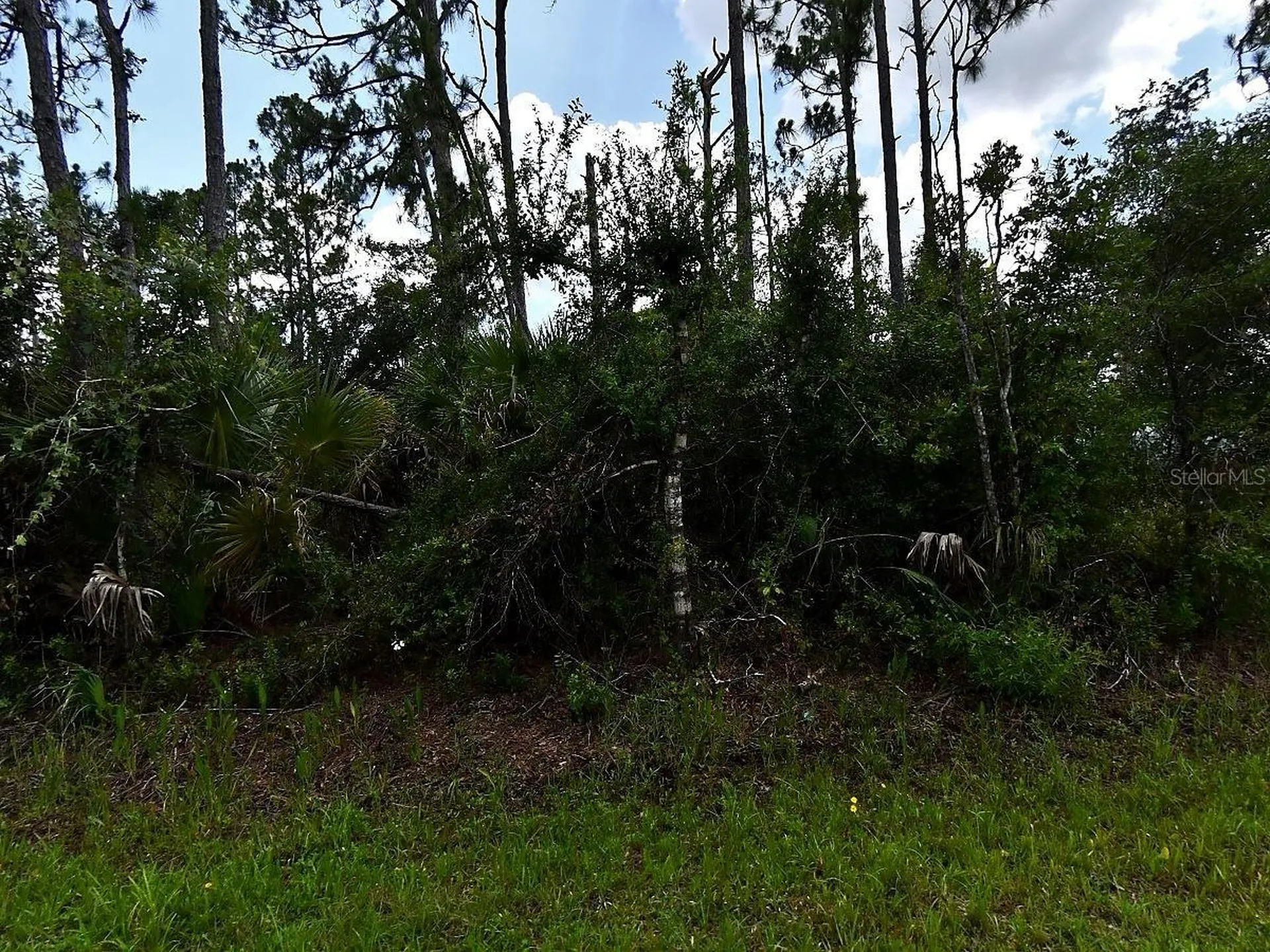 Hackley Road North Port FL 34291