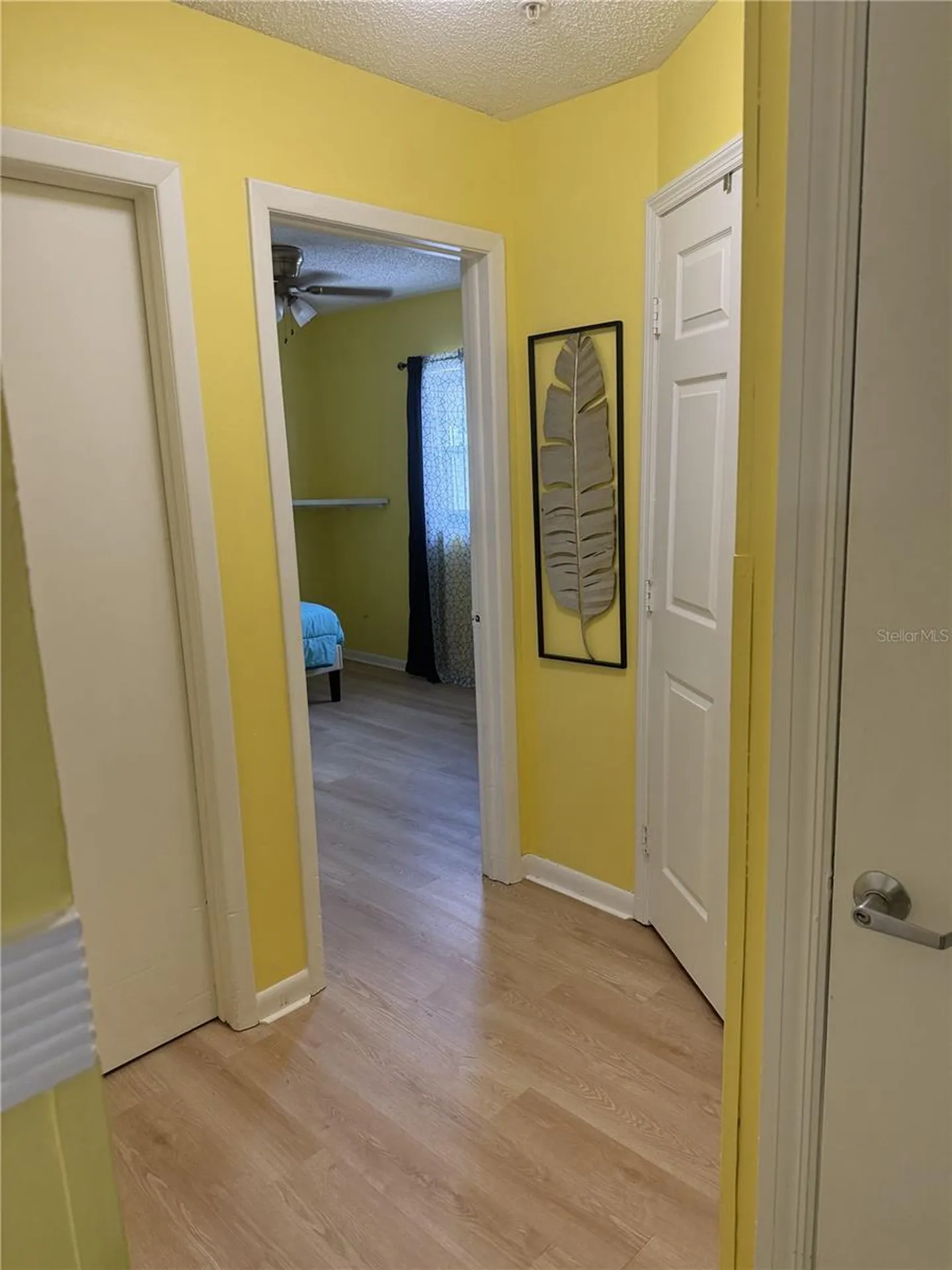 322 Regal Park Drive Valrico FL 33594