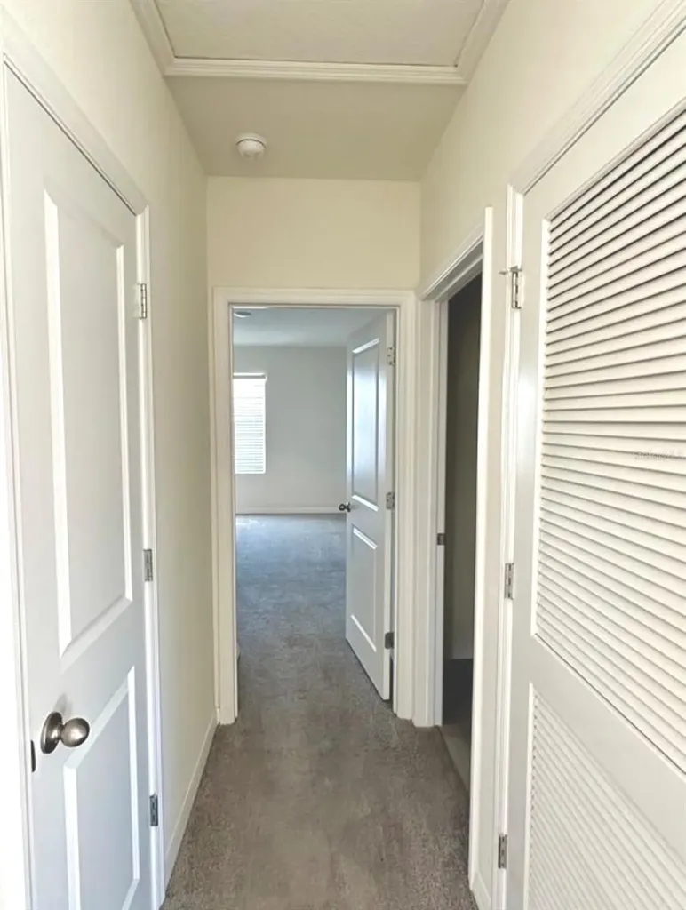 30915 Penny Surf Loop Wesley Chapel FL 33545
