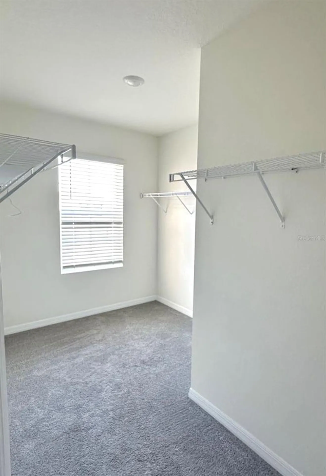 30915 Penny Surf Loop Wesley Chapel FL 33545
