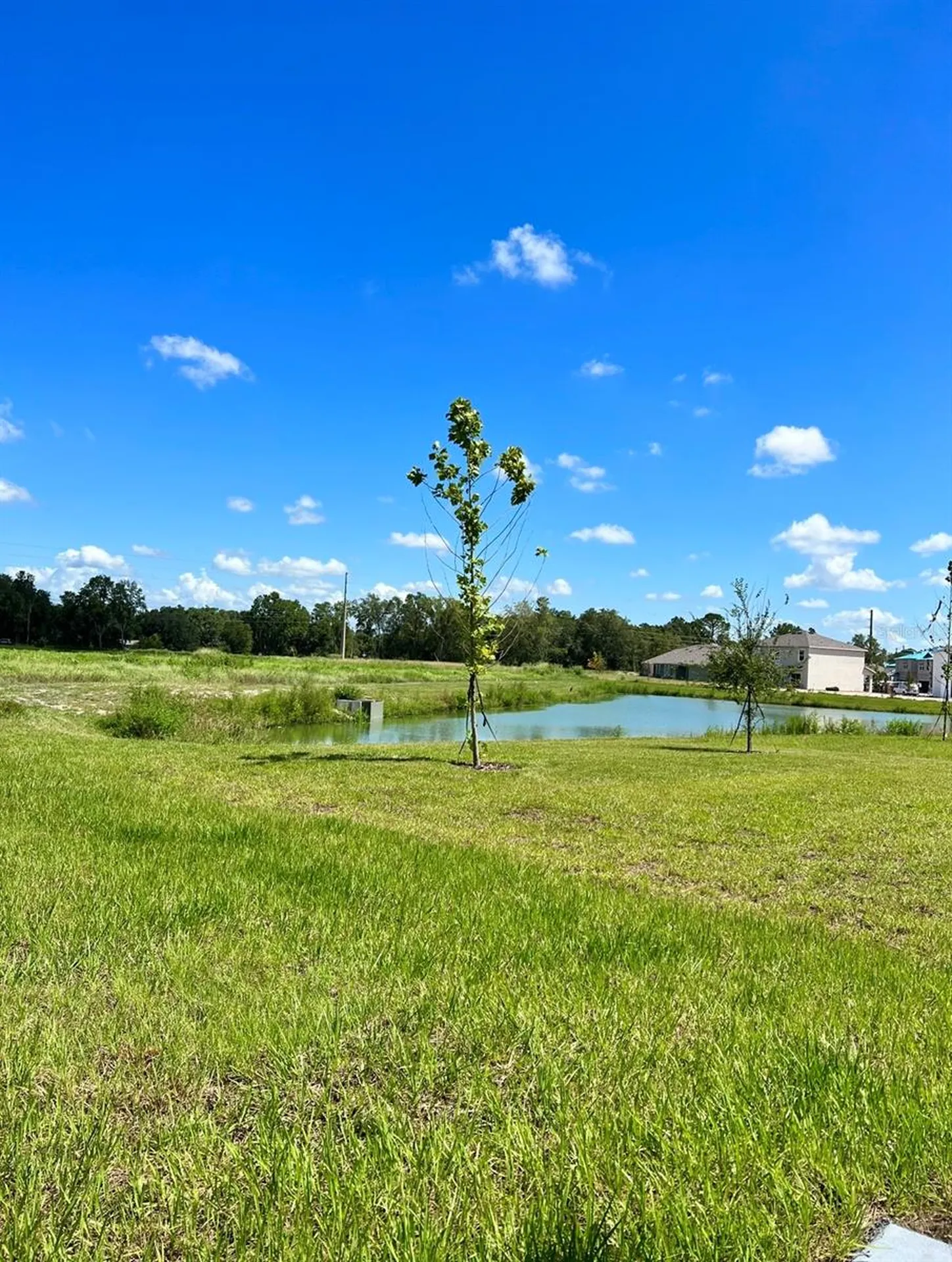 30915 Penny Surf Loop Wesley Chapel FL 33545