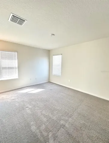 30915 Penny Surf Loop Wesley Chapel FL 33545