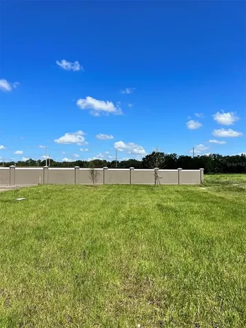 30915 Penny Surf Loop Wesley Chapel FL 33545