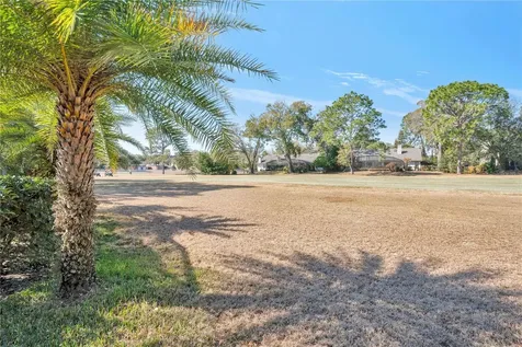 816 Mystic Oak Place Apopka FL 32712