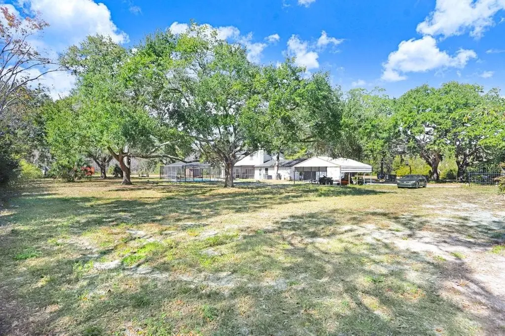 17308 Tobacco Road Lutz FL 33558