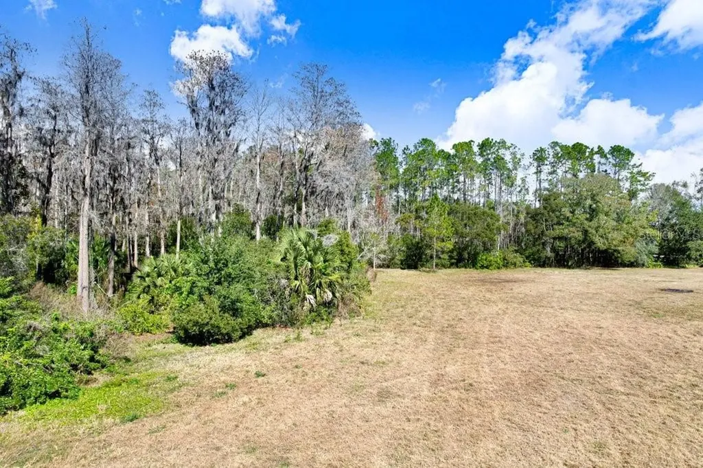 17308 Tobacco Road Lutz FL 33558