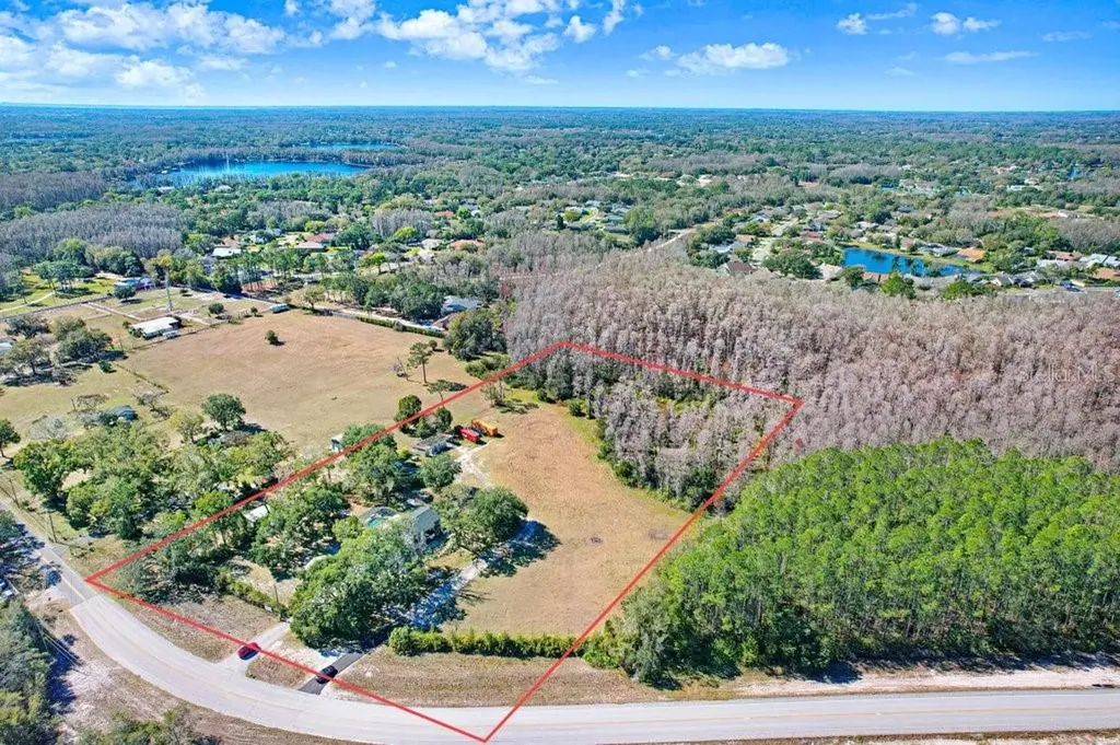 17308 Tobacco Road Lutz FL 33558