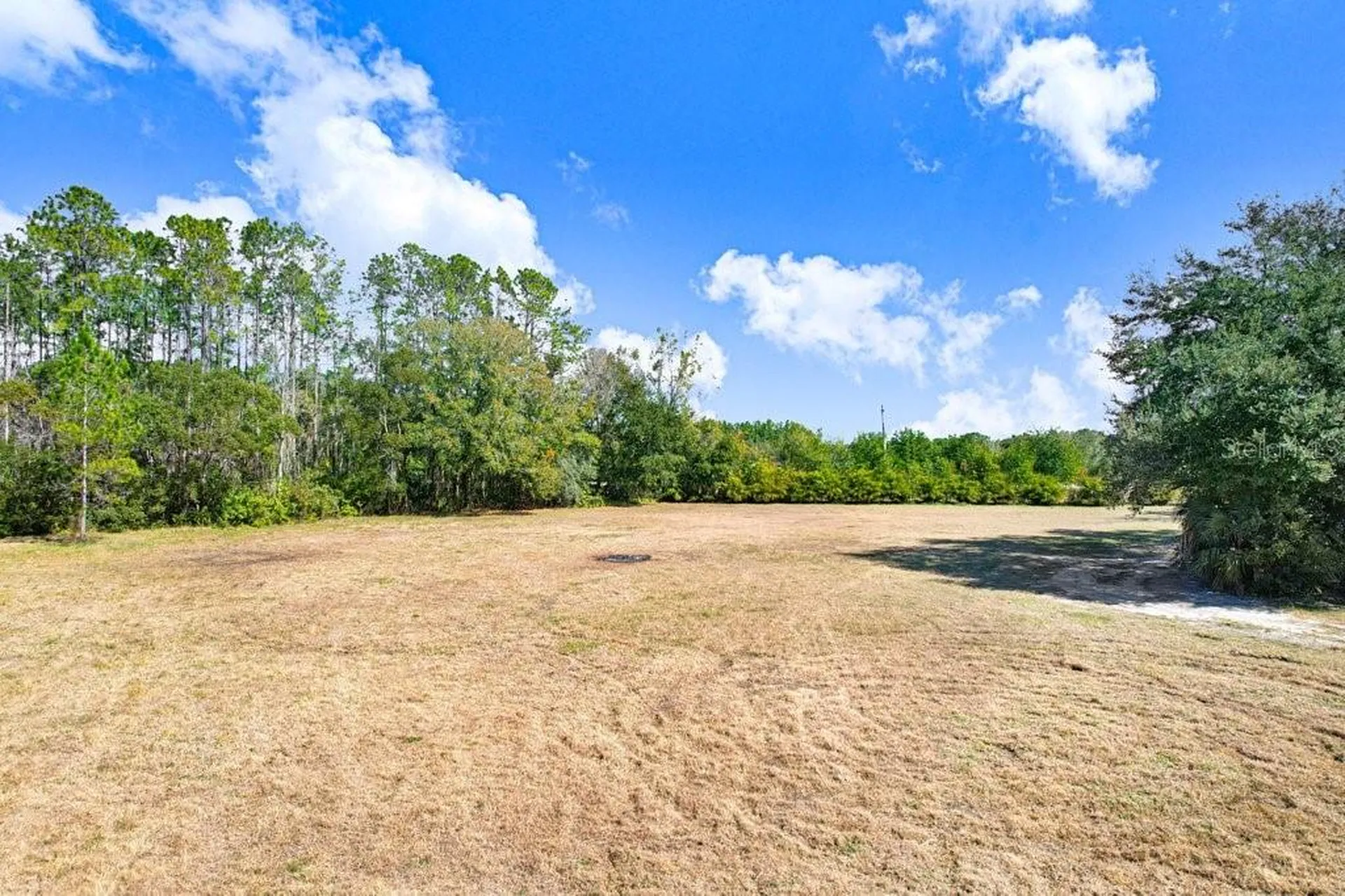 17308 Tobacco Road Lutz FL 33558