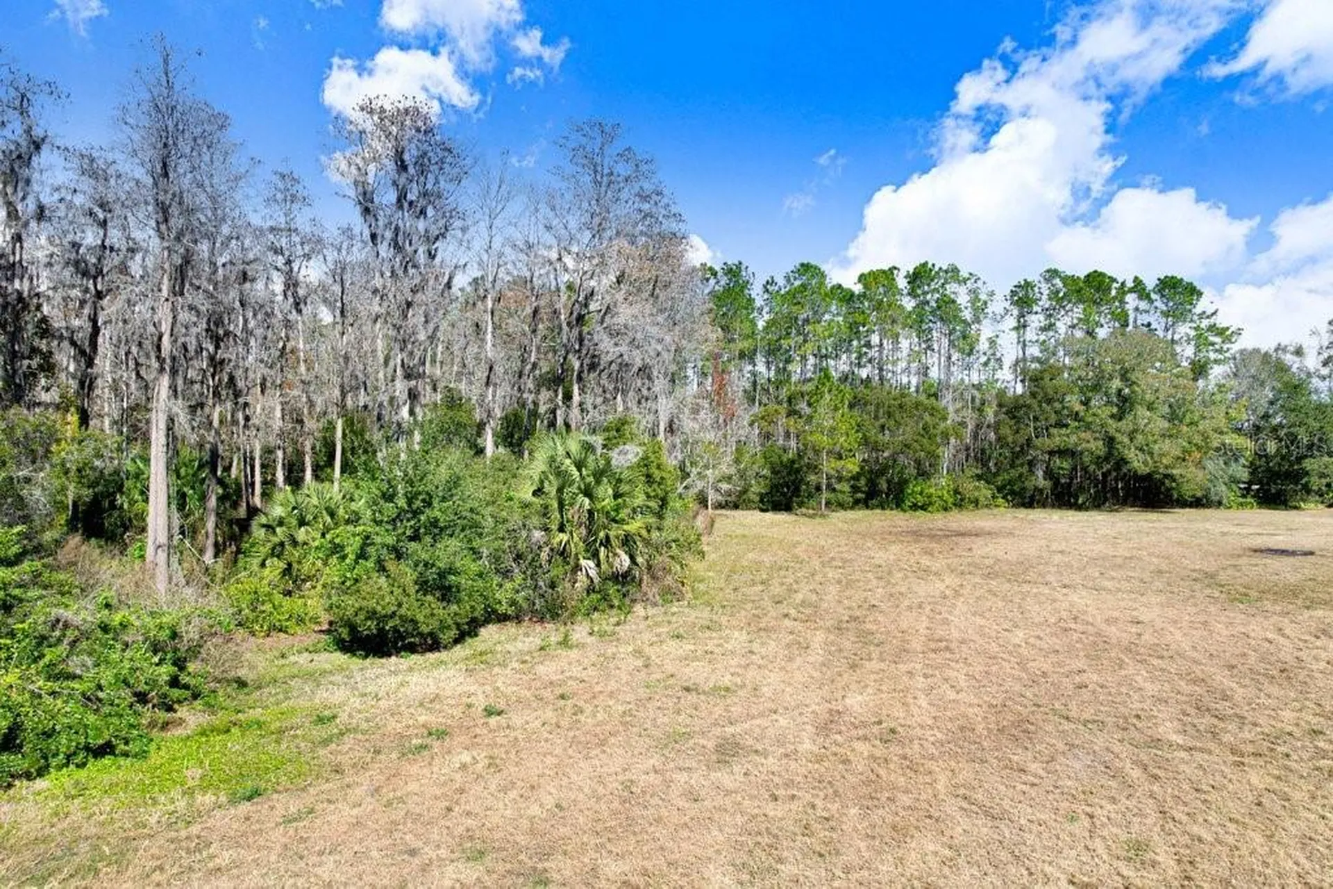 17308 Tobacco Road Lutz FL 33558