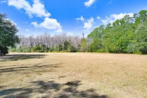 17308 Tobacco Road Lutz FL 33558