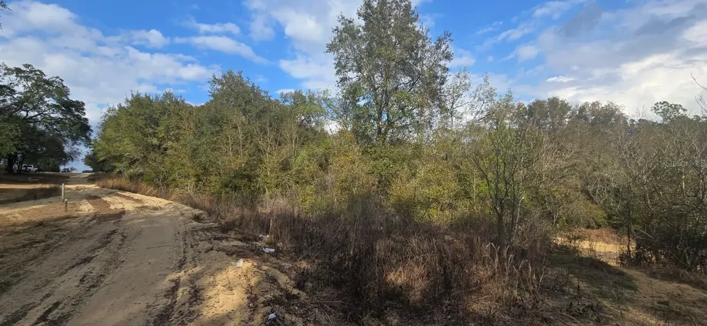 SE 252nd Avenue Umatilla FL 32784