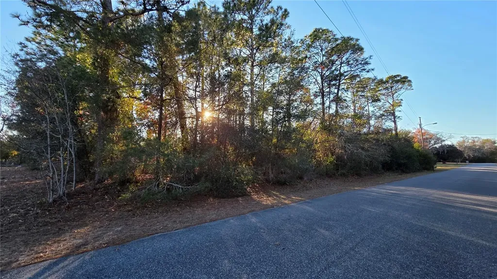 13122 Angler Street Spring Hill FL 34609