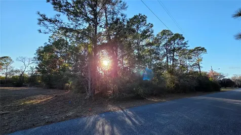 13122 Angler Street Spring Hill FL 34609