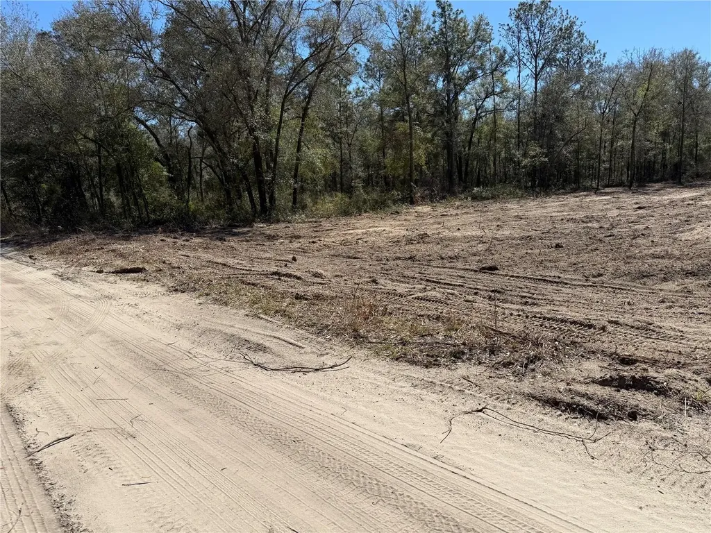 0000 NE 82nd Place Bronson FL 32621