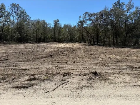 0000 NE 82nd Place Bronson FL 32621