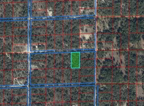 0000 NE 82nd Place Bronson FL 32621