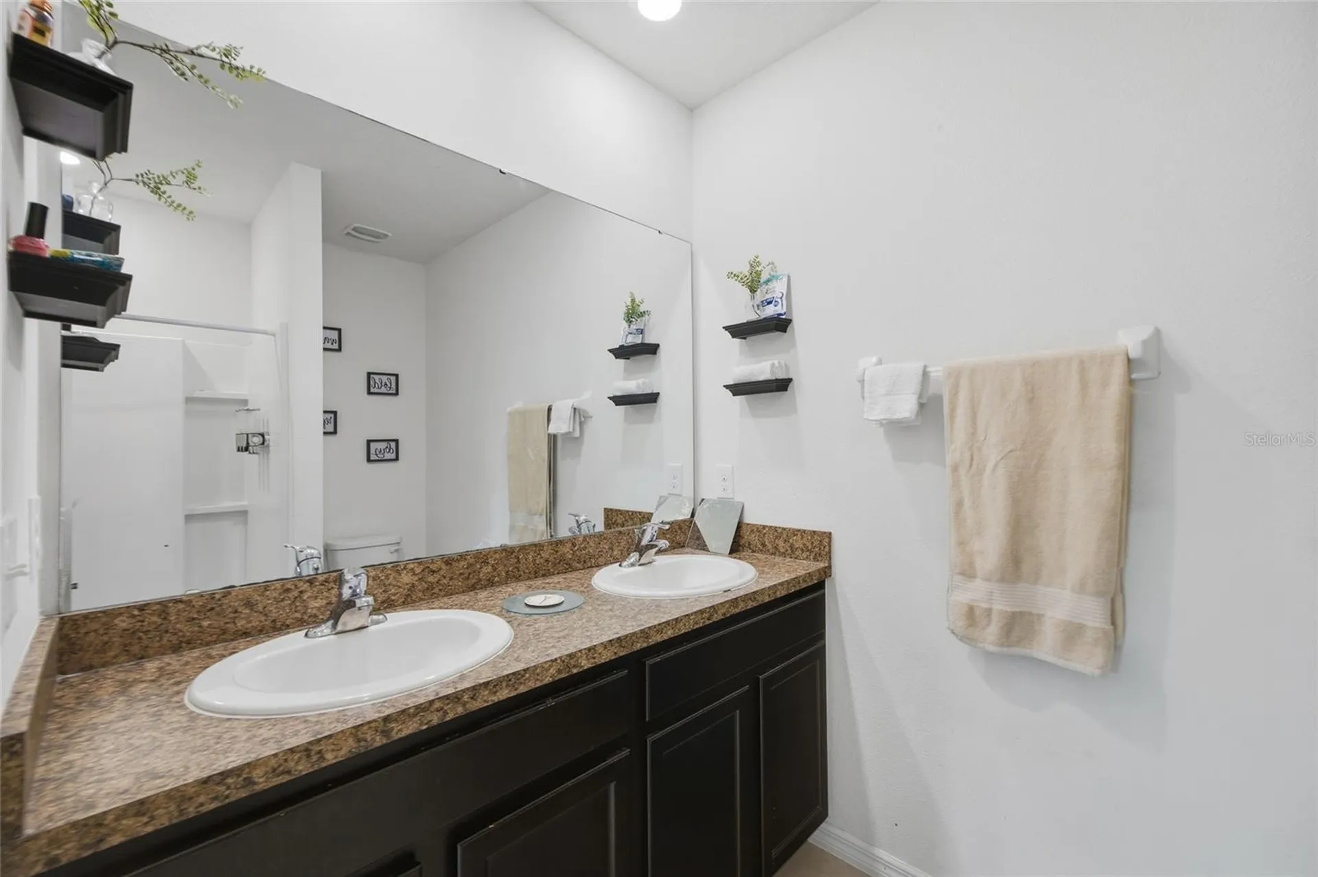 8204 Pelican Reed Circle Wesley Chapel FL 33545